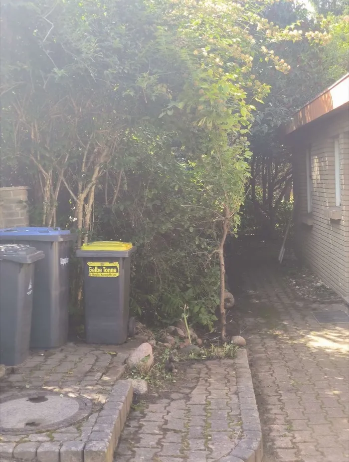 Stellplatz nachher – freigeschnitten und begehbar