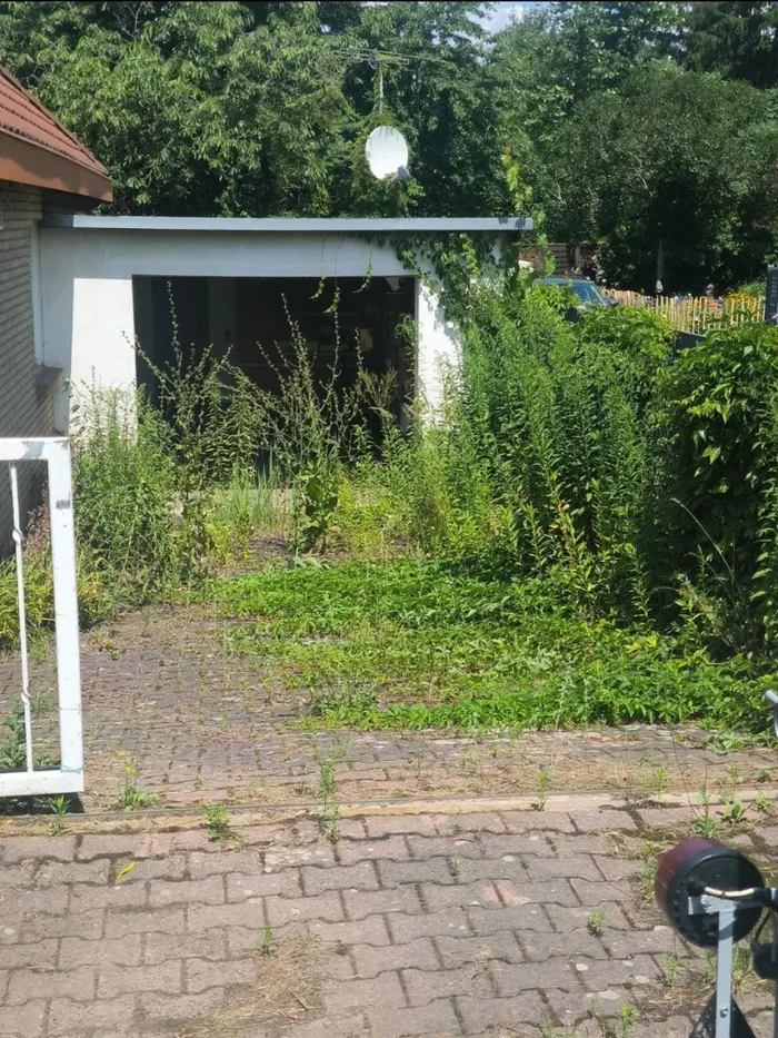 Garageneinfahrt vorher – zugewuchert mit Unkraut
